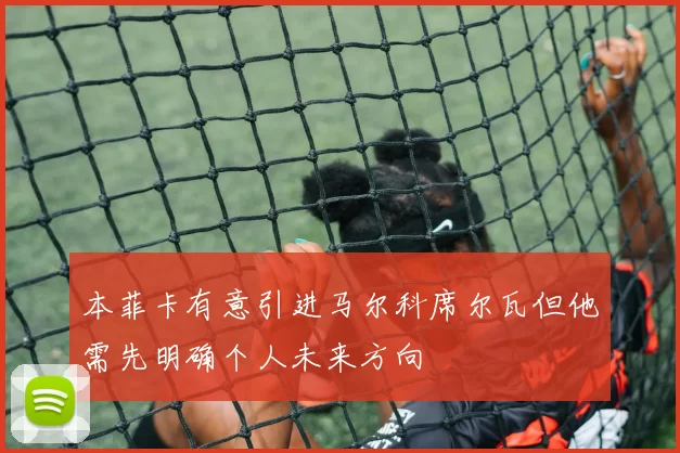 本菲卡有意引进马尔科席尔瓦但他需先明确个人未来方向